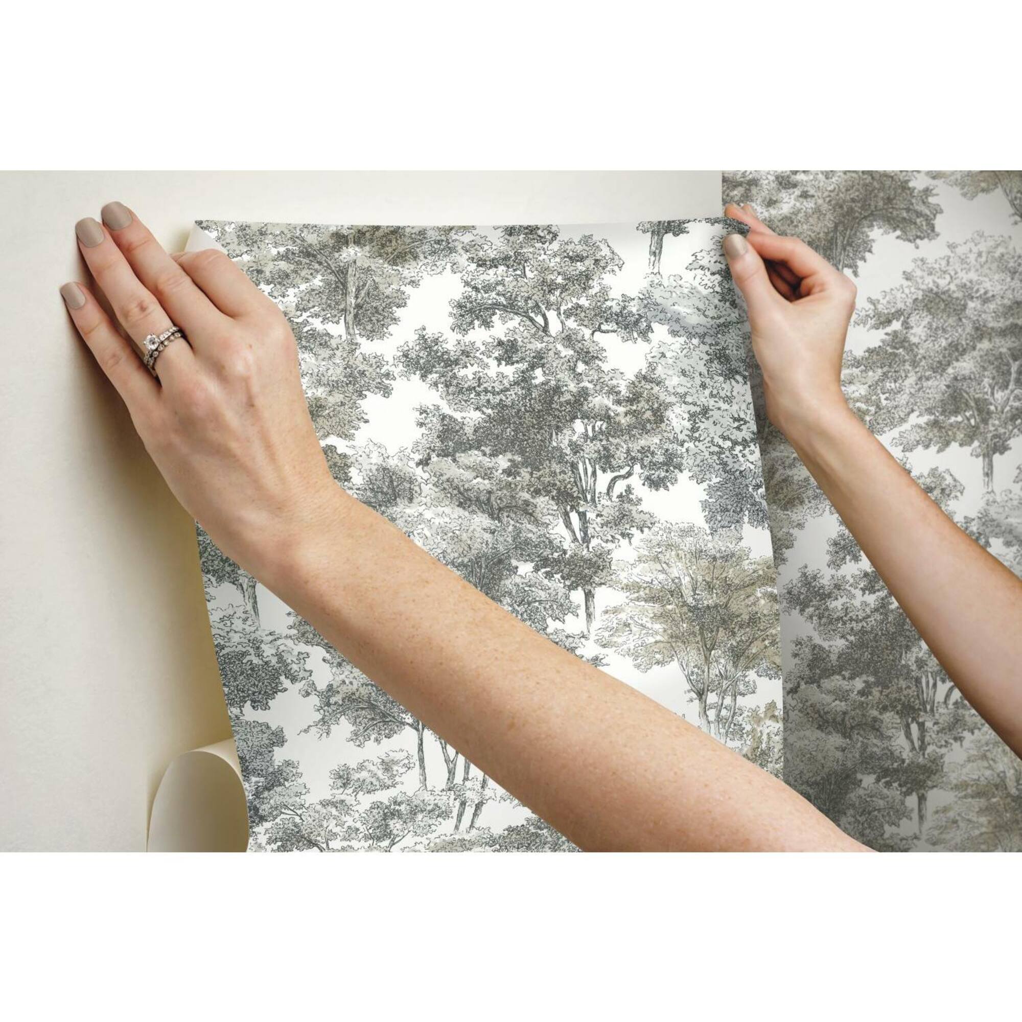 RoomMates Old World Trees Peel & Stick Wallpaper
